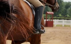 BasEQ Isabella Children’s Synthetic Leather Half Chaps -Equestrian Clothing Store 2PwyQS