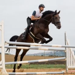 Horze Men's Grand Prix Full Seat Breeches - Silicone Grip 15 Horze Men's Grand Prix Full Seat Breeches - Silicone Grip -Equestrian Clothing Store 36261 BL 33219 WH PB 12 AL 3