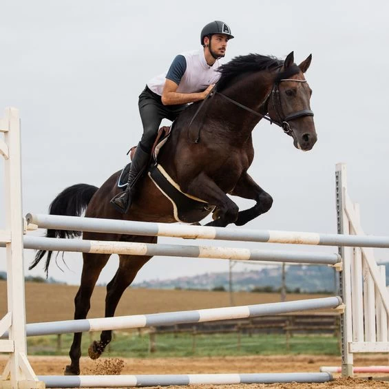 Horze Men's Grand Prix Full Seat Breeches - Silicone Grip 6 Horze Men's Grand Prix Full Seat Breeches - Silicone Grip - Image 4