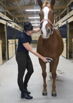 BasEQ Michelle Women's Horse Riding Pull On Suede Low Rise Knee Patch Breeches -Equestrian Clothing Store 4Afr25