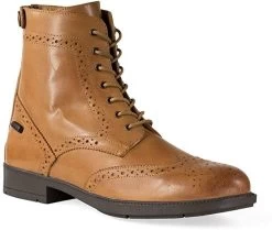 Horze Devon Paddock Boots -Equestrian Clothing Store 61AJ3tNkZCL. AC UY535