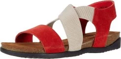 David Tate Women's Clear Sandals -Equestrian Clothing Store 71LS6rSDJuL. AC UL1500