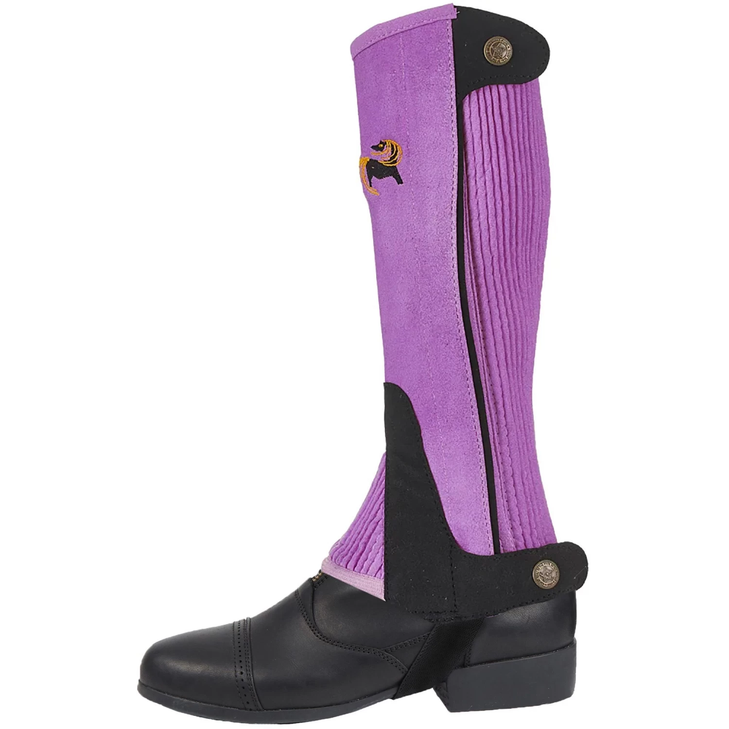 One Stop Equine Shop Children's Half Chaps 14 One Stop Equine Shop Children's Half Chaps - Image 12