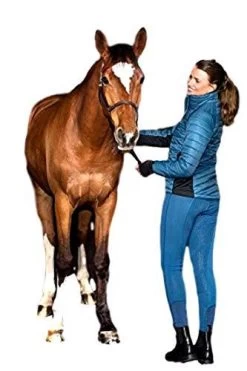 B Vertigo BVX Beatrix Women's Riding Tights -Equestrian Clothing Store c4c00be9 20bb 40fd 9ebe 7bb1e9e97aff