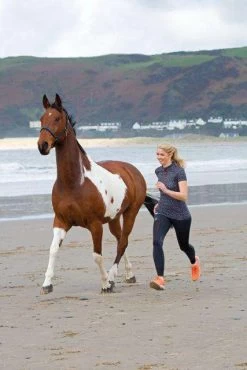 Shires Ladies Aubrion Miller Riding Tights -Equestrian Clothing Store fskehY