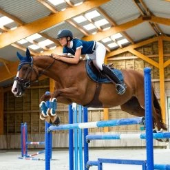 Horze Paige Women's Short Sleeve Show Shirt -Equestrian Clothing Store qadur2bn9slvmfrq70vx