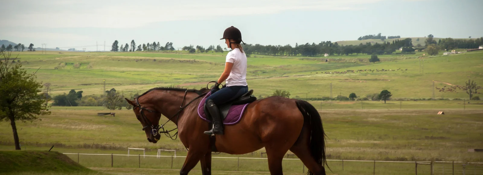 Equestrian Clothing Store -Equestrian Clothing Store 2